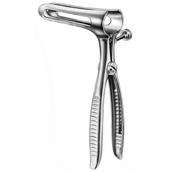 Stomach, Intes tines, Rectum